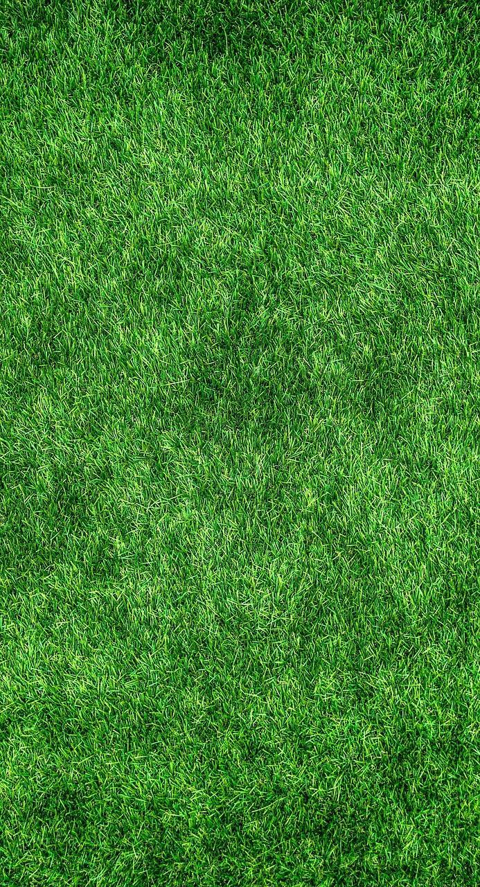 Image default